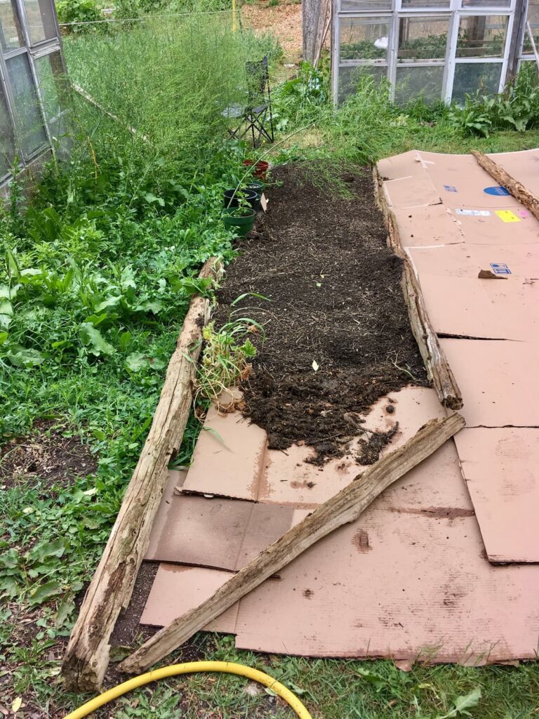 Cardboard on the ground with cedar fence rails on top, filling the raised bed with compost.
