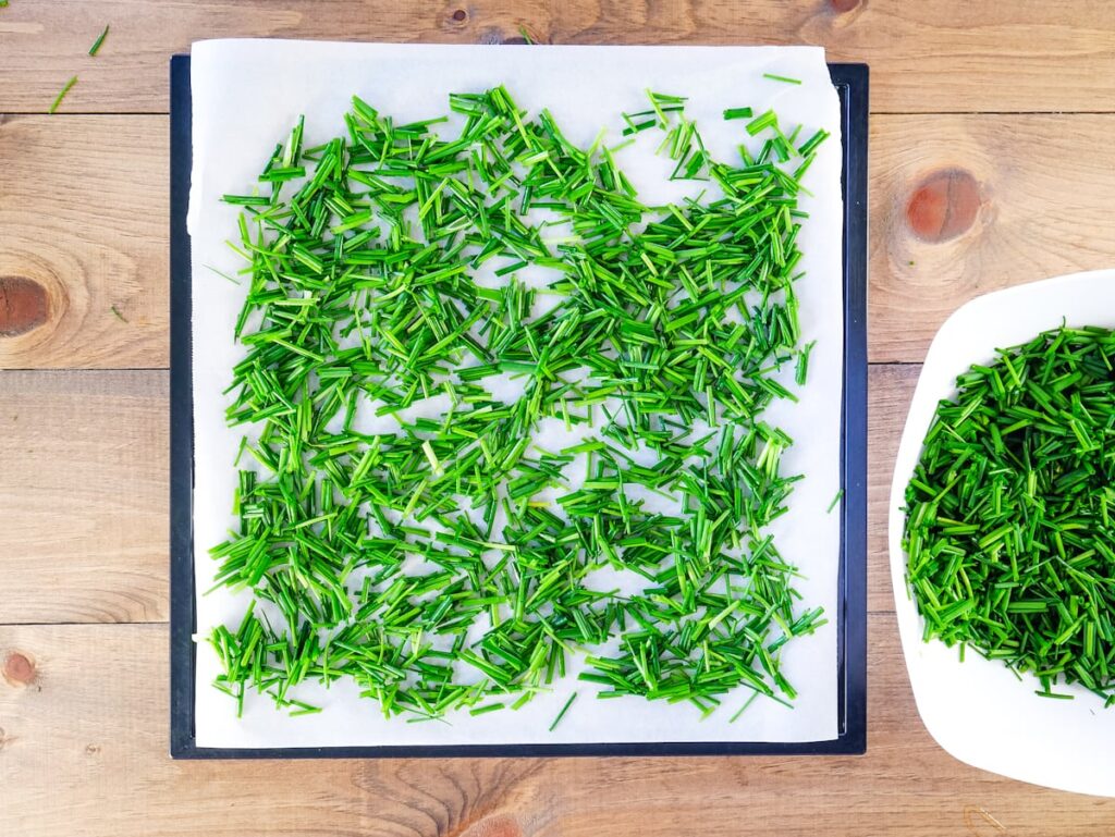 A dehydrator tray with fresh chives spread over top.