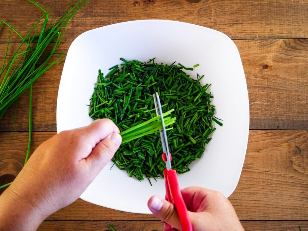 Cutting chives with scissors over a white bowl.