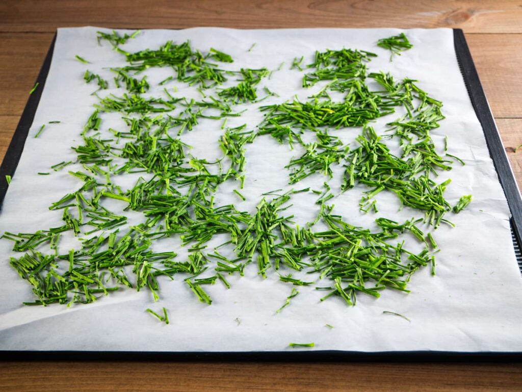 Dried chives on a parchment lined dehydrator tray.