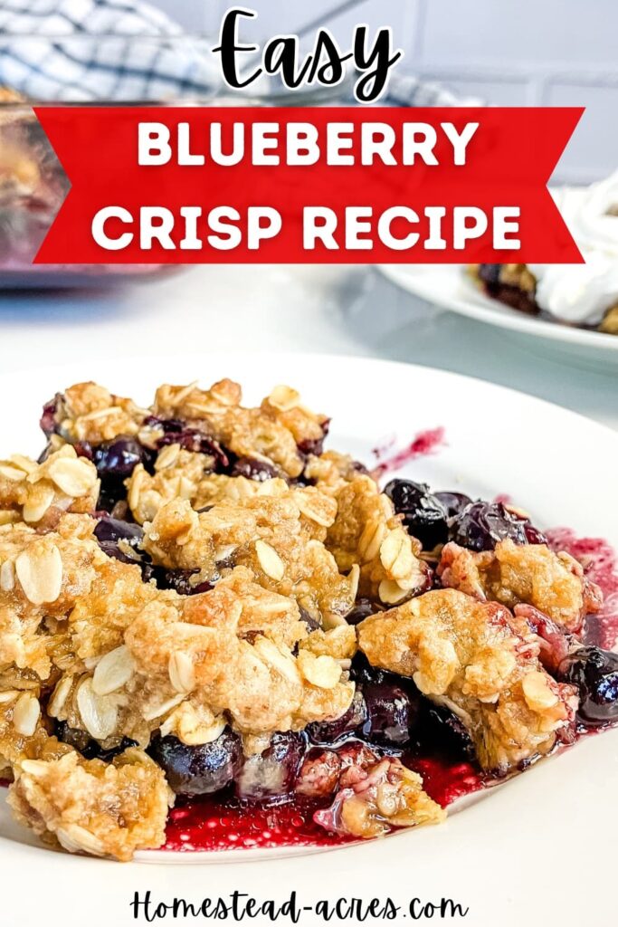A plate of blueberry crisp. Text overlay says Easy Blueberry Crisp Recipe.