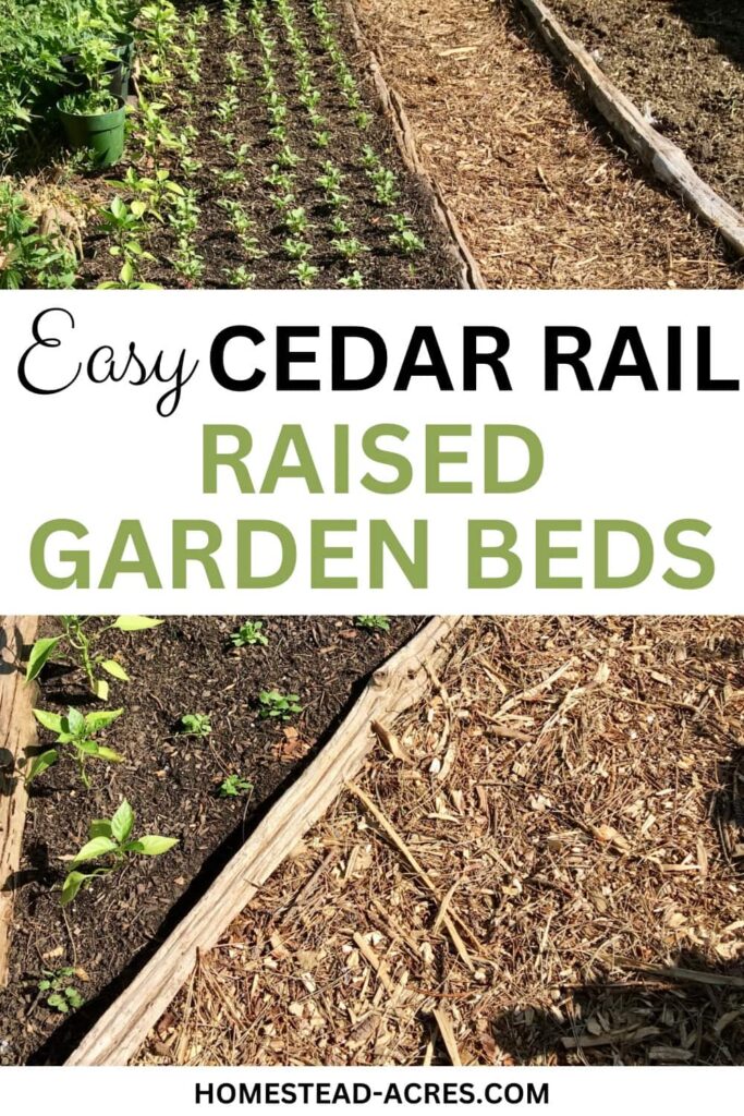 Raised bed garden planted with flowers and vegetables. Text overlay says Easy Cedar Rail Raised Garden Beds.