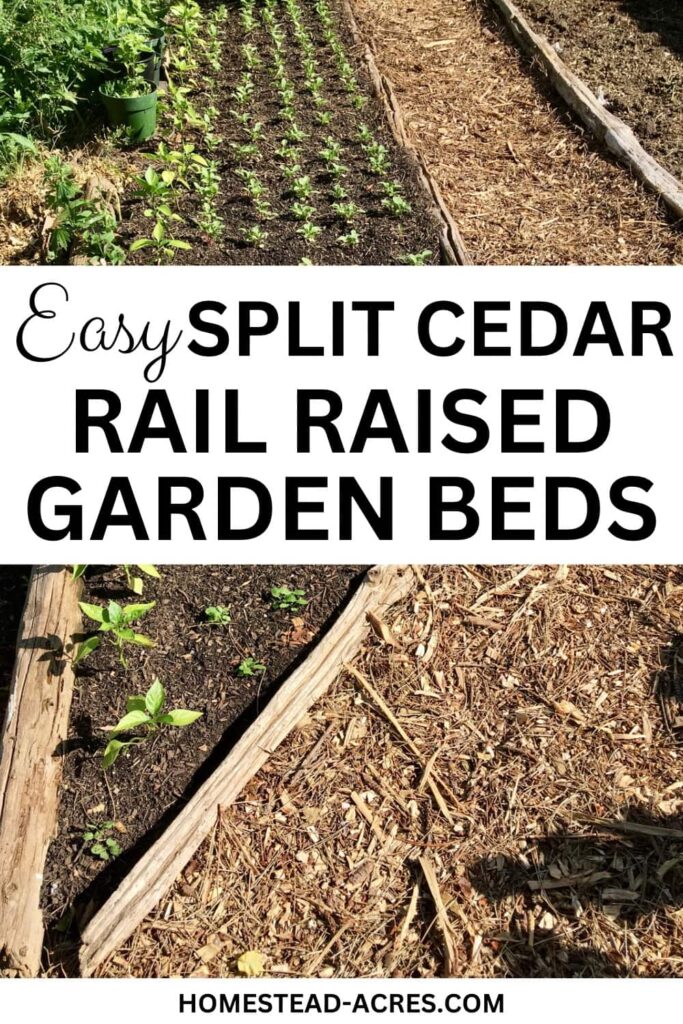 Raised bed garden planted with flowers and vegetables. Text overlay says Easy Split Cedar Rail Raised Garden Beds.