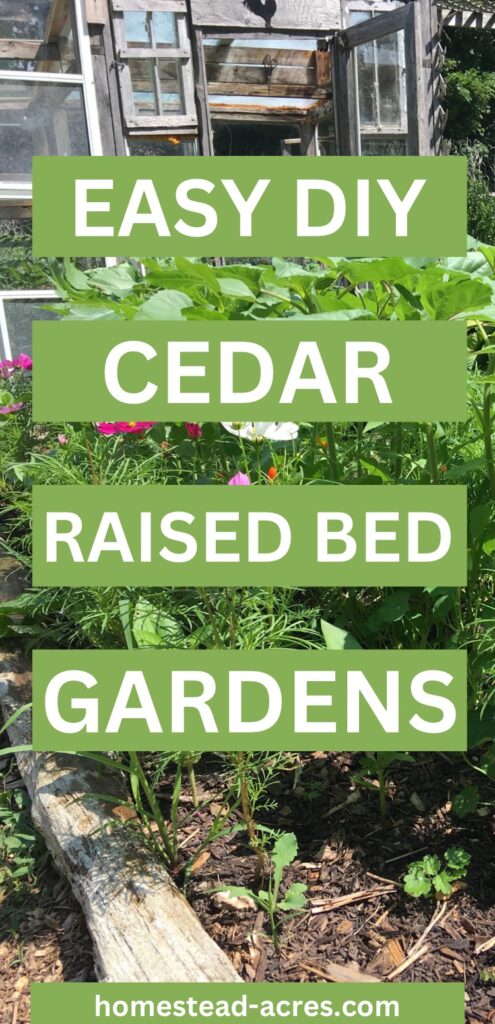 Garden planted with flowers. Text overlay says Easy DIY Cedar Raised Bed Gardens.