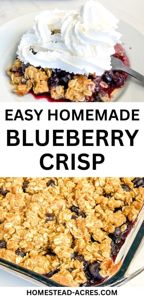 Collage image showing a plate of blueberry crisp and a baking dish of it. Text overlay says Easy Homemade Blueberry Crisp.