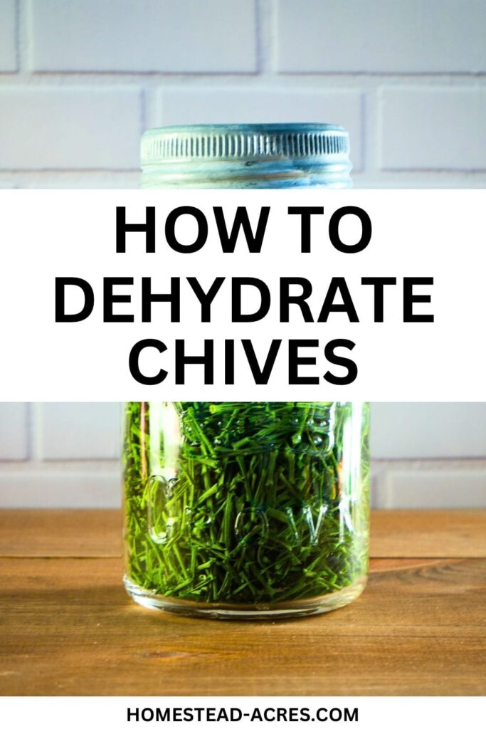 Mason jar of dried chives on a counter. Text overlay says How To Dehydrate Chives.