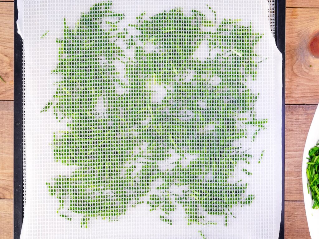Mesh screen overtop of chives on a dehydrator tray.