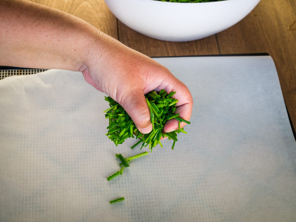 A hand holding a bunch of cut chives and spreading them onto a dehydrator tray.