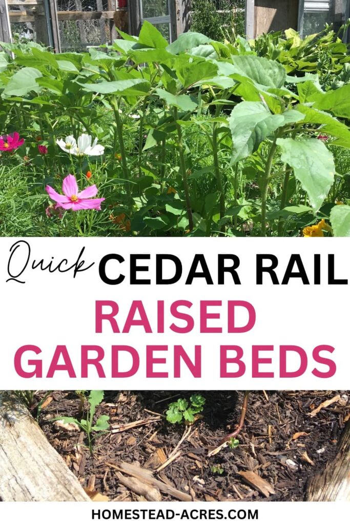 Raised bed garden planted with flowers. Text overlay says Quick Cedar Rail Raised Garden Beds.