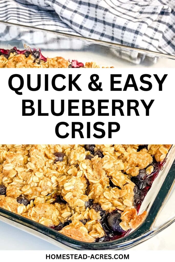 Homemade blueberry crisp in a glass baking dish. Text overlay says Quick & Easy Blueberry Crisp.