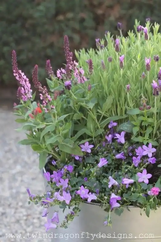A white planter filled with pink and purple flowers.