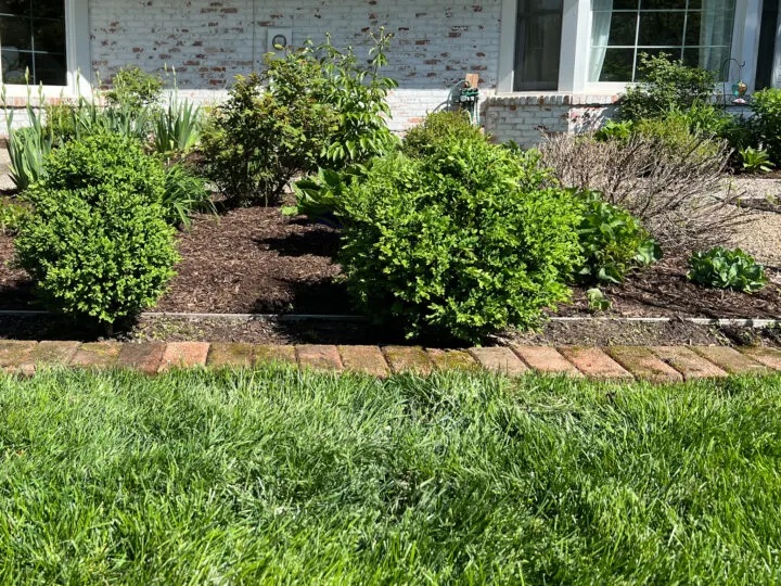 DIY brick border on a flower garden.