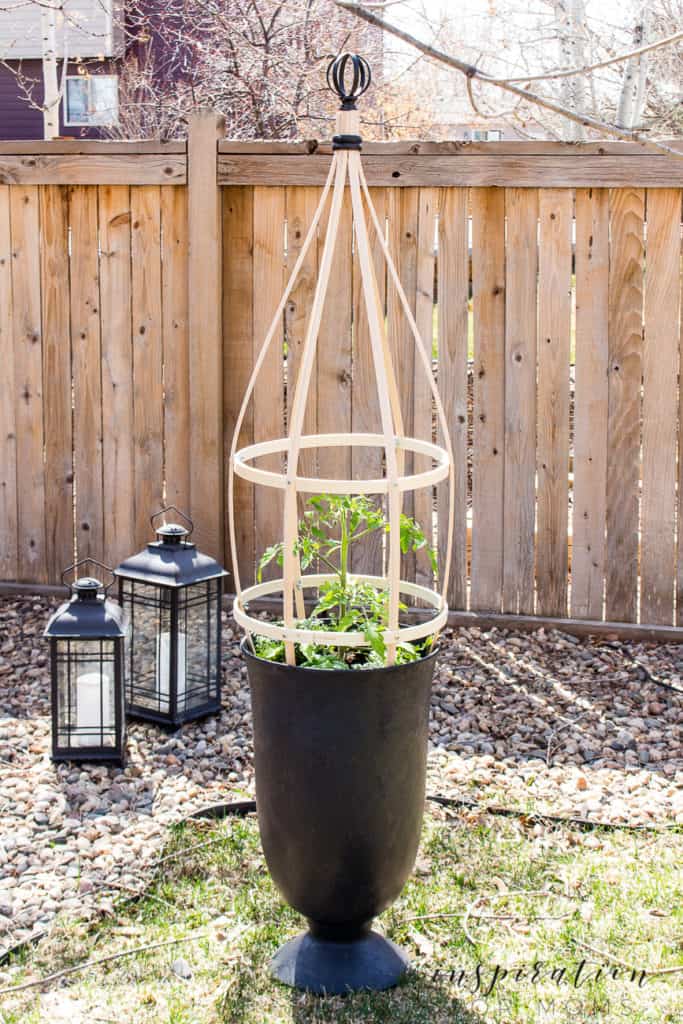 Black planter with a trellis.