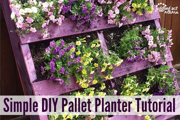 DIY Pallet raised garden bed planter.