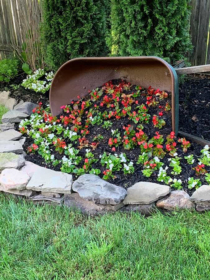 Tipped wheelbarrow flower planter.