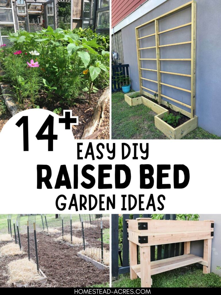 Collage image of raised bed gardens. Text overlay says 14+ Easy DIY Raised Bed Garden Ideas.