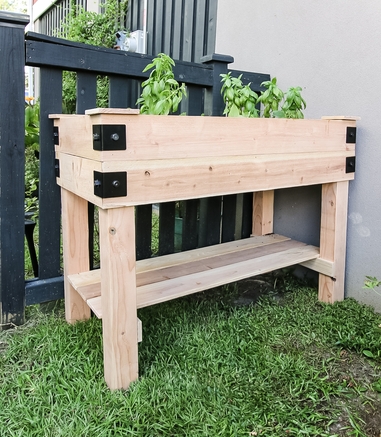 Elevated raised bed garden in a backyard next to a fence.