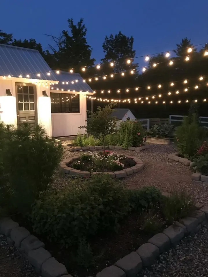 Flower garden at night with lights.