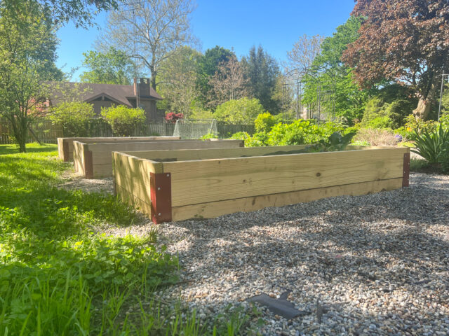 Wooden raised bed garden with steel bracket corners.