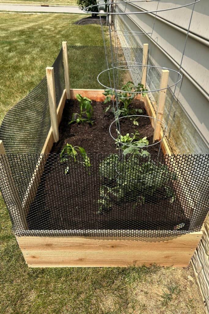 DIY raised bed garden.