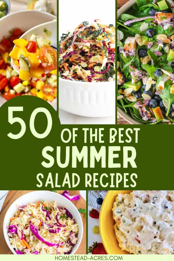 Collage image of salads. Text overlay says 50 Of The Best Summer Salad Recipes.