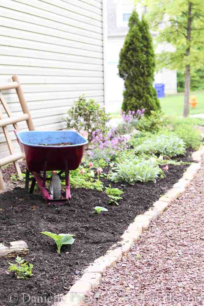 Flower garden along a house with a cute decorative wheelbarrow.