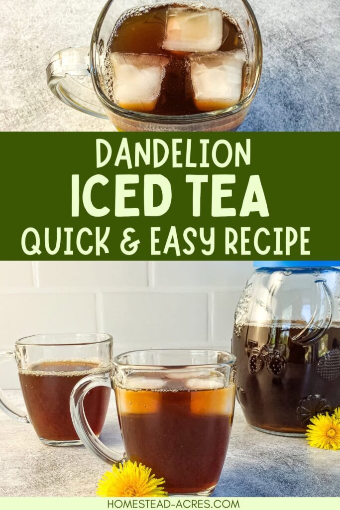 Collage image, top looking into a glass mug of dandelion iced tea with ice cubes, bottom mugs sitting next to a pitcher.
