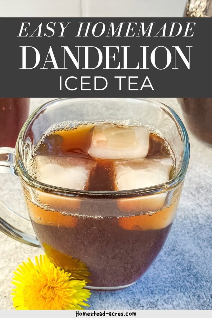 Glass mug of dandelion iced tea with ice. Text overlay says Easy Homemade Dandelion Iced Tea.
