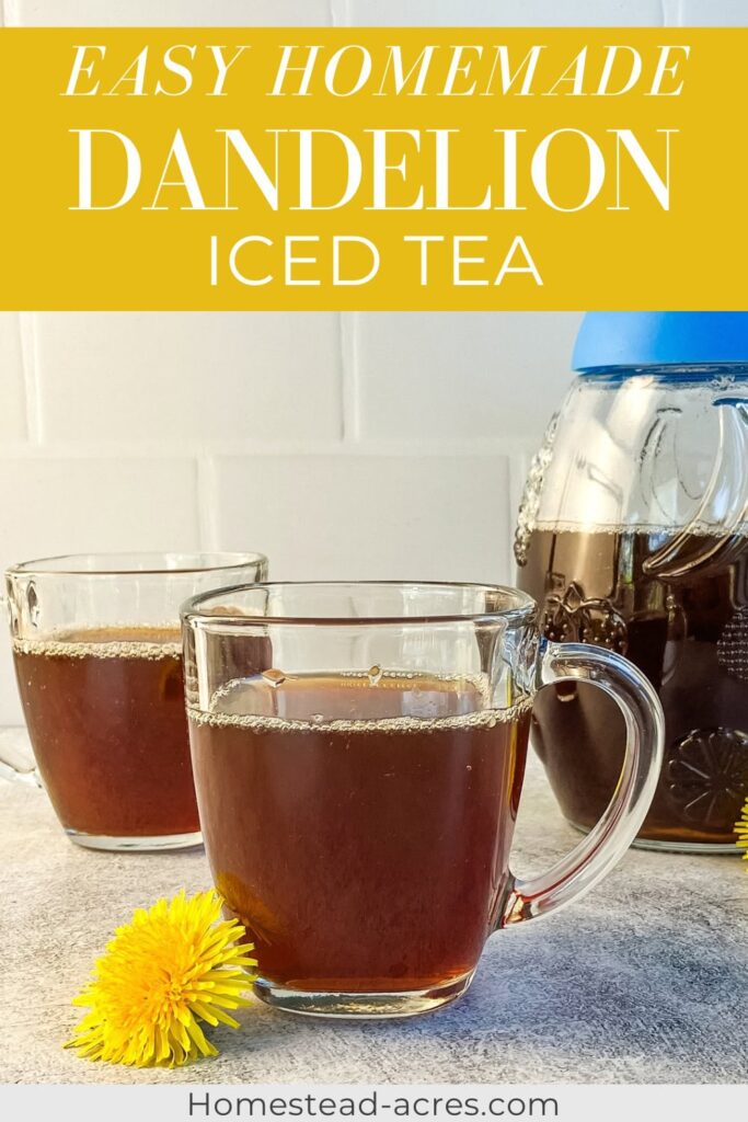 Mugs of dandelion iced tea next to a pitcher. Text overlay says Easy Homemade Dandelion Iced Tea.