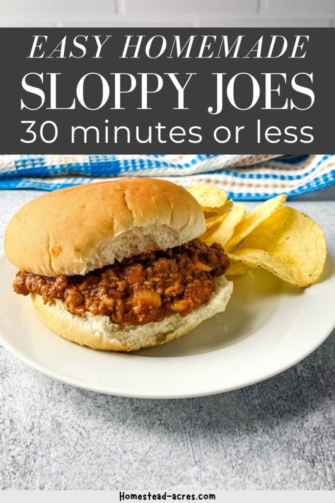 Sloppy Joe sandwich on a hamburger bun with chips on the side. Text overlay says Easy Homemade Sloppy Joes 30 Minutes Or Less.