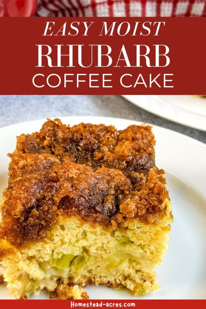 Slice of rhubarb cake on a plate. Text overlay says Easy Moist Rhubarb Coffee Cake.