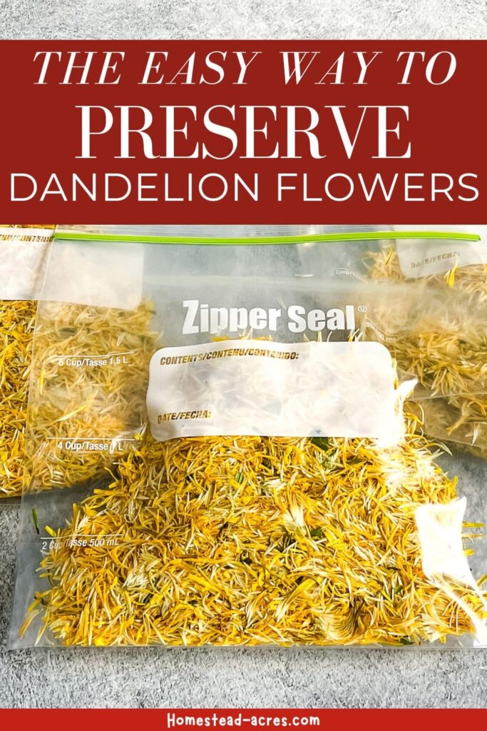 Bags of dandelion flower petals on a counter. Text overlay says The Easy Way To Preserve Dandelion Flowers.