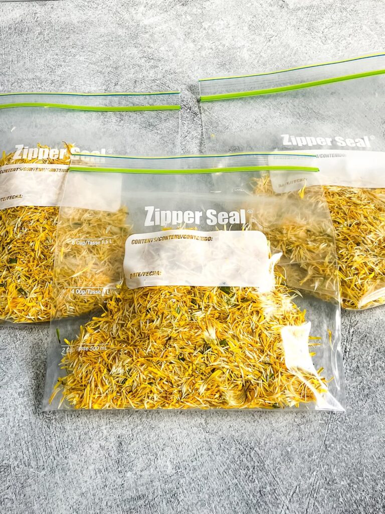 3 freezer bags of dandelion flower petals on the counter.