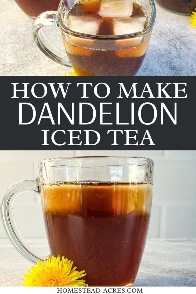 Collage image, top a glass mug of dandelion iced tea looking down at the ice cubes, bottom a mug with a dandelion flower next to it. Text overlay says How To Make Dandelion Iced Tea.