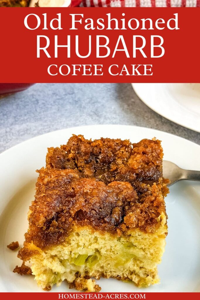 Slice of cake on a small white plate. Text overlay says Old Fashioned Rhubarb Coffee Cake.