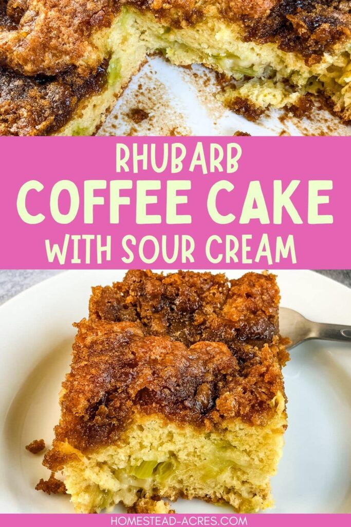 Collage image, top is a coffee cake in a baking dish with a slice removed, bottom is a slice of cake on a plate. Text overlay says Rhubarb Coffee Cake With Sour Cream.