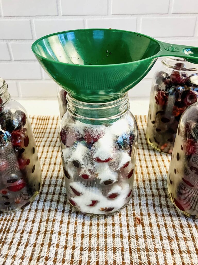 Canning jar filled with pitted cherries and sugar with a green canning funnel on top.