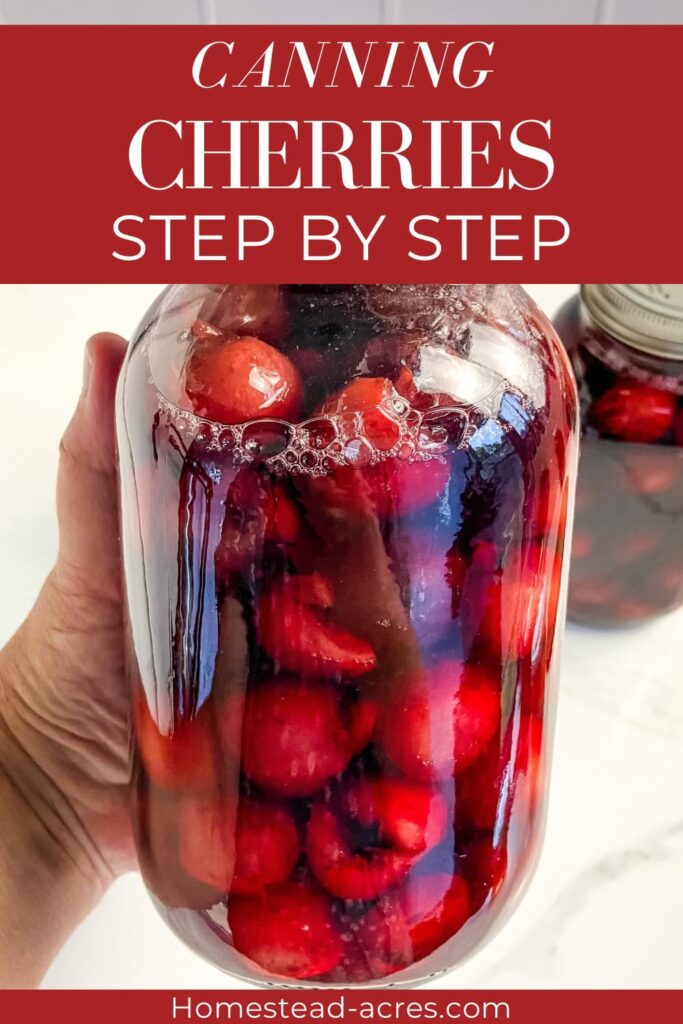 A hand holding a jar of canned cherries. Text overlay says Canning Cherries Step By Step.