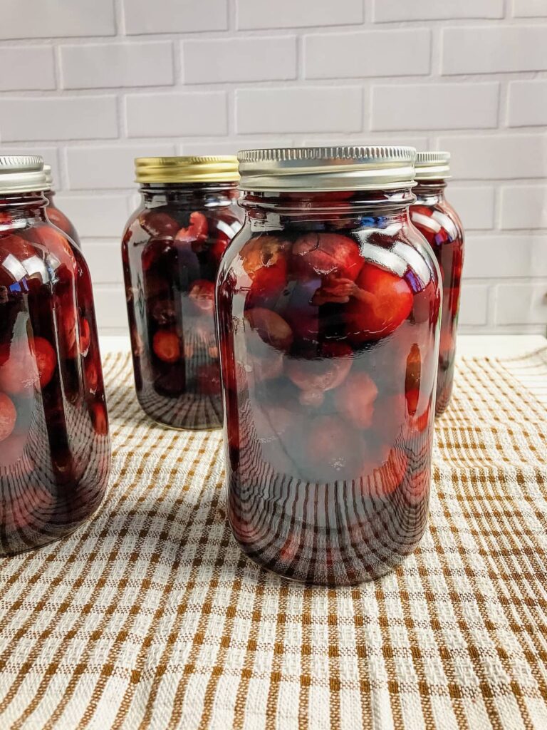 Mason jars filled with canned cherries cooling on a kitchen towel.