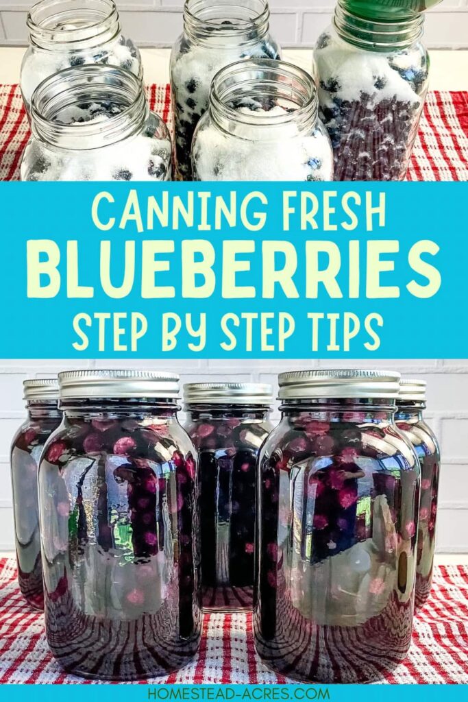 Collage image, top is jars of blueberries and sugar, bottom mason jars of canned blueberries. Text overlay says Canning Fresh Blueberries Step By Step Tips.