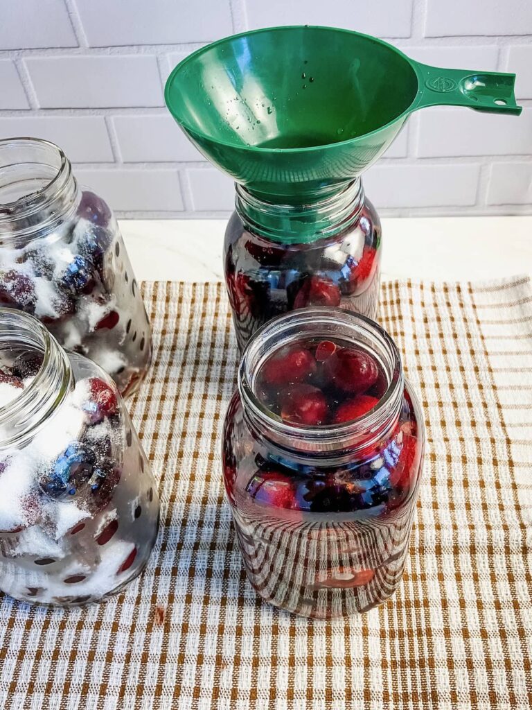 Filing jars of cherries with water.