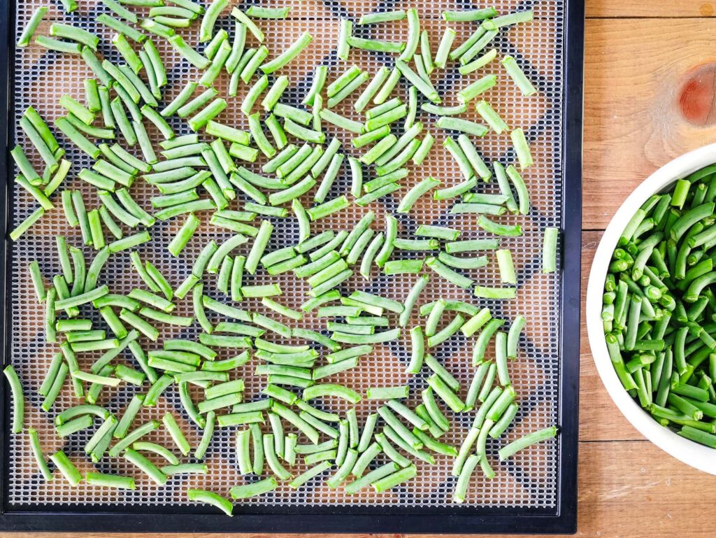 A dehydrator tray with sliced garlic scapes spread over it.