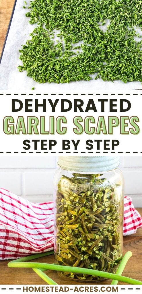 Collage image top is diced garlic scapes on a dehydrator tray, bottom is a jar filled with dried scapes. Text overlay says Dehydrated Garlic Scapes Step By Step.