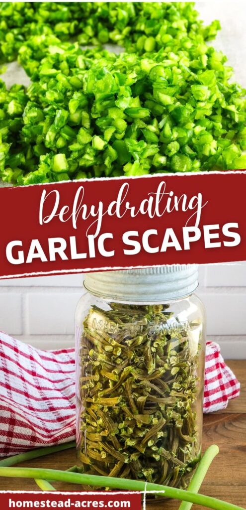 Collage image, top is freshly diced garlic scapes, bottom a jar filled with dried scapes. Text overlay says Dehydrating Garlic Scapes.