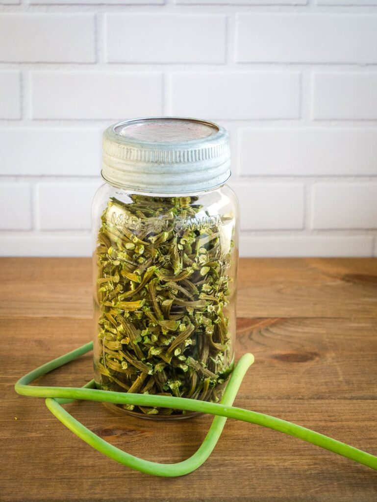 Mason jar filled with dried garlic scapes and a fresh picked one around the bottom of the jar.