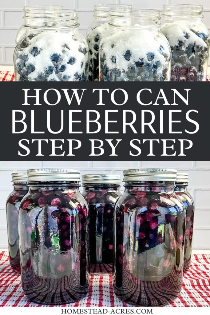 Collage image, top jars of sugar and blueberries, bottom jars of blueberries in syrup. Text overlay says How To Can Blueberries Step By Step.
