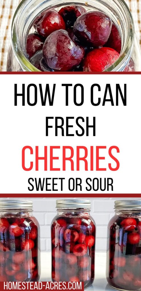 Collage image, top is a jar filled with cherries, bottom is 3 jars of canned cherries on a counter. Text overlay says How To Can Fresh Cherries Step By Step.