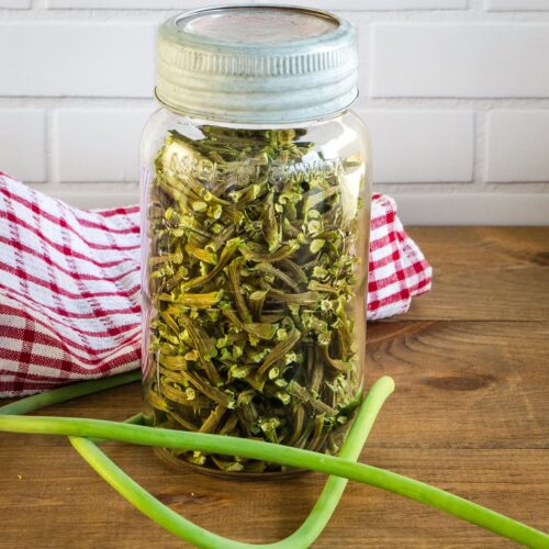 Vintage mason jar filled with dehydrated garlic scapes. Around the jar is a fresh garlic scape.
