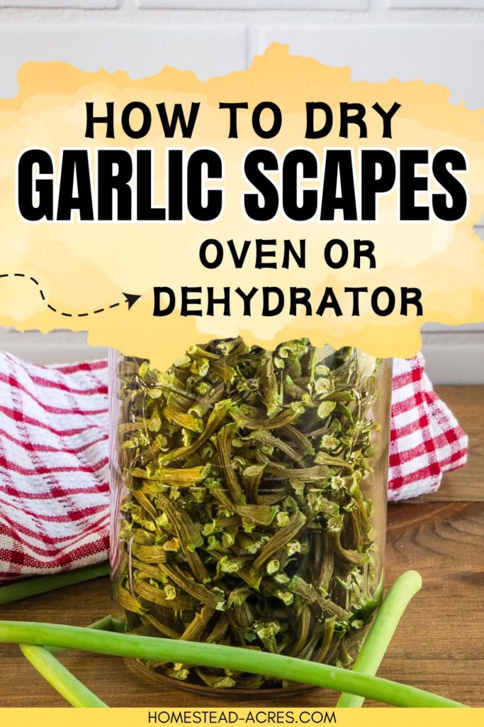 Large mason jar filled with dehydrated garlic scapes. Text overlay says How To Dry Garlic Scapes Oven Or Dehydrator.