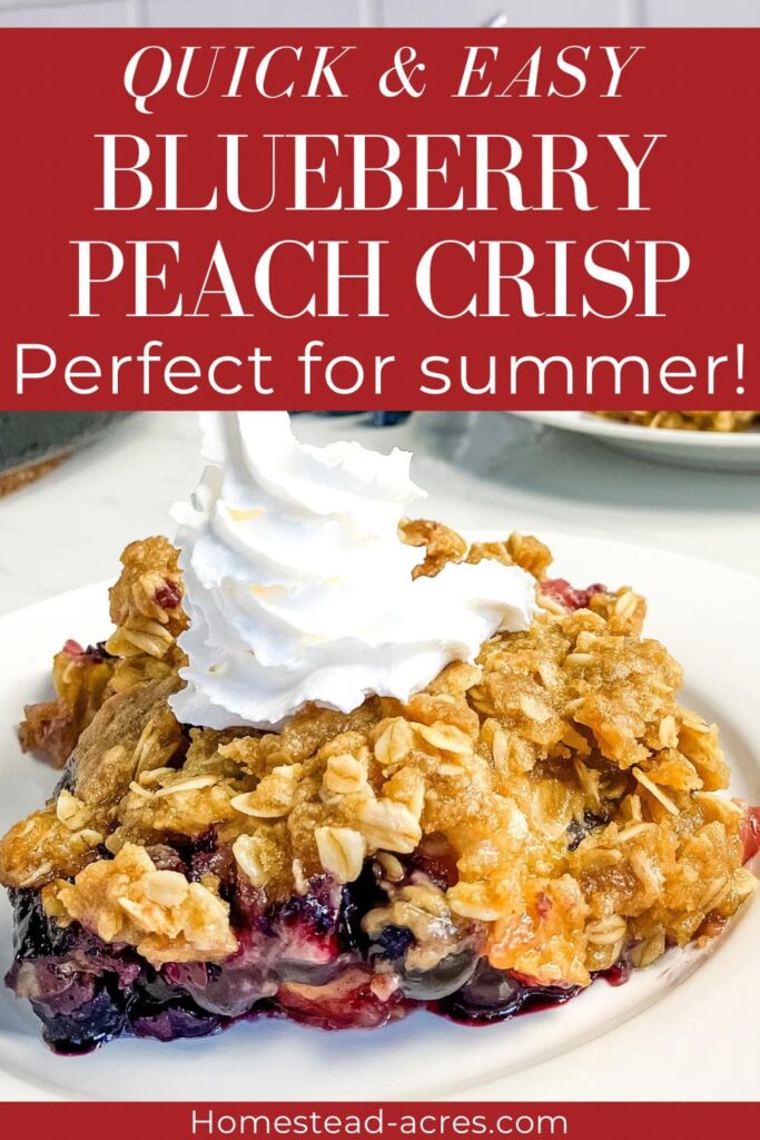 A white plate with a serving of blueberry peach crisp with whipped cream on top. Text overlay says Quick & Easy Blueberry Peach Crisp Perfect For Summer!